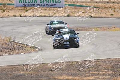 media/Oct-25-2025-West Coast Racing (Sat) [[9fdcbcd09c]]/Blue group/Turn 4/